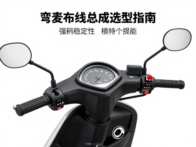 弯梁摩托车仪表线束与布线总成选型指南，提升车辆稳定性
