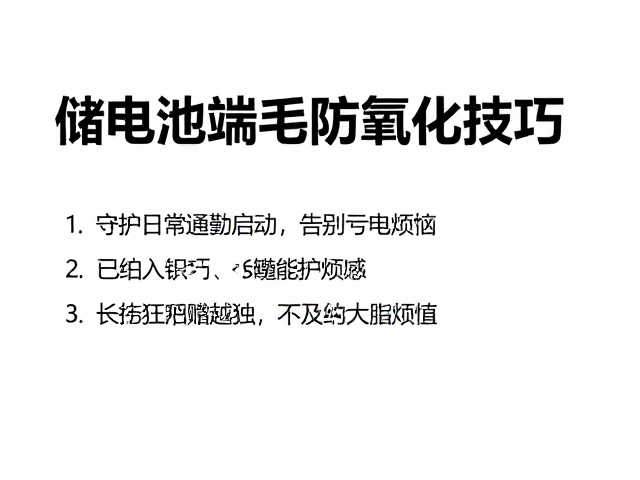 储电池端子防氧化技巧，守护日常通勤启动，告别亏电烦恼