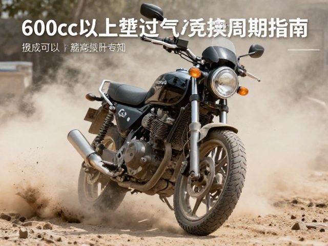 600cc以上大排量车多尘环境进气棉更换周期指南