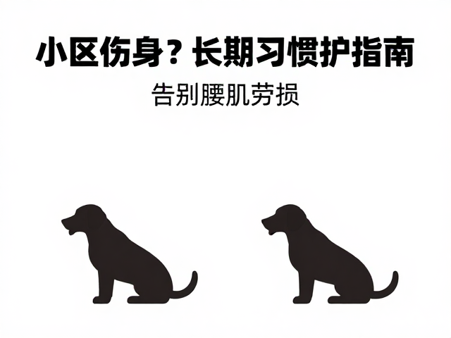 科学遛狗的体态管理与动作规范