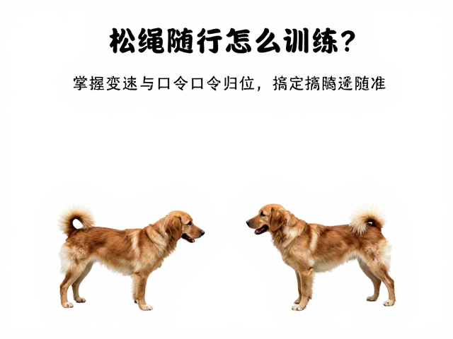 口令归位与位置校准技巧