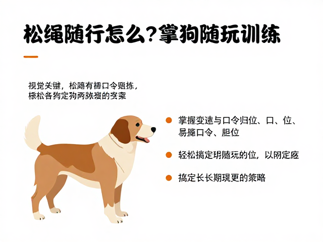 常见误区与长期巩固策略