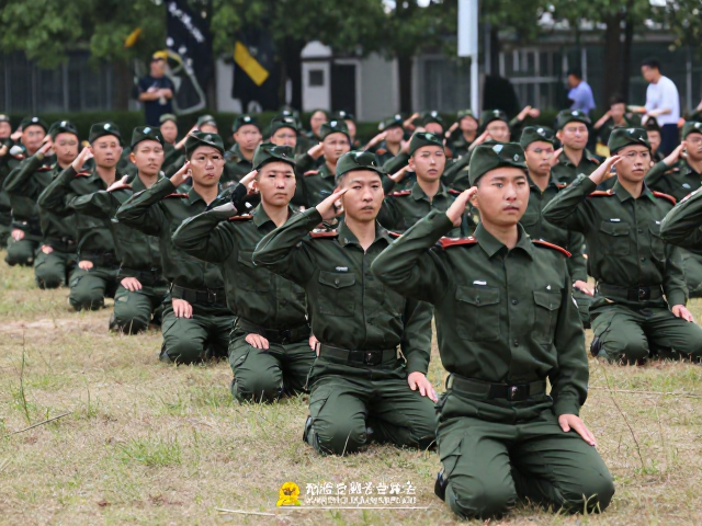 强化频率与干扰环境下的稳定性