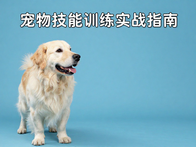 短距离唤回的技巧进阶与干扰排除