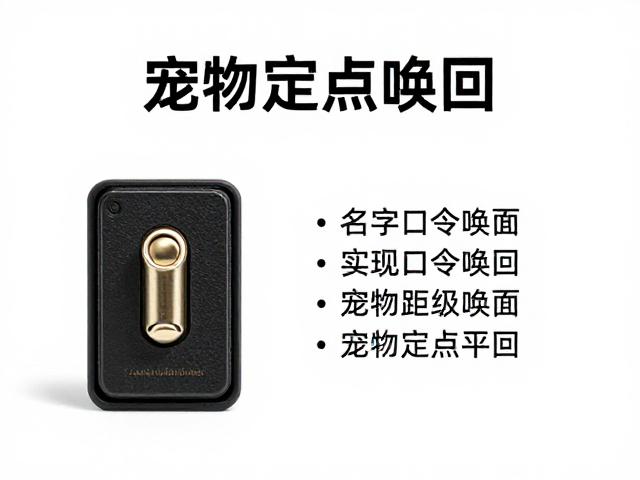 响片训练,名字加口令实现近距离唤回,轻松搞定宠物定点召回