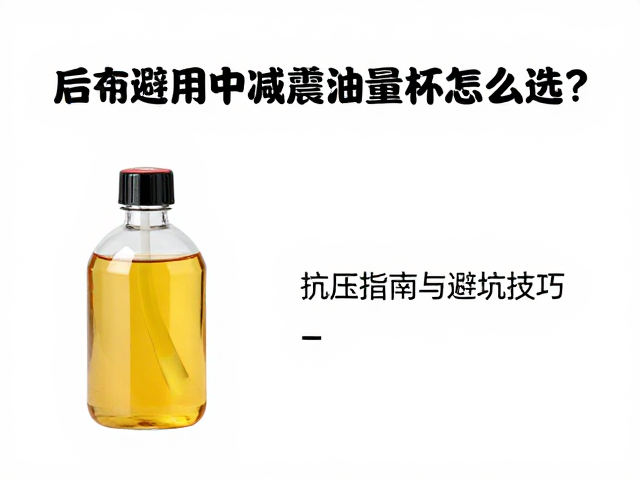 后避震器减震油量杯怎么选？抗压油液改装指南与避坑技巧