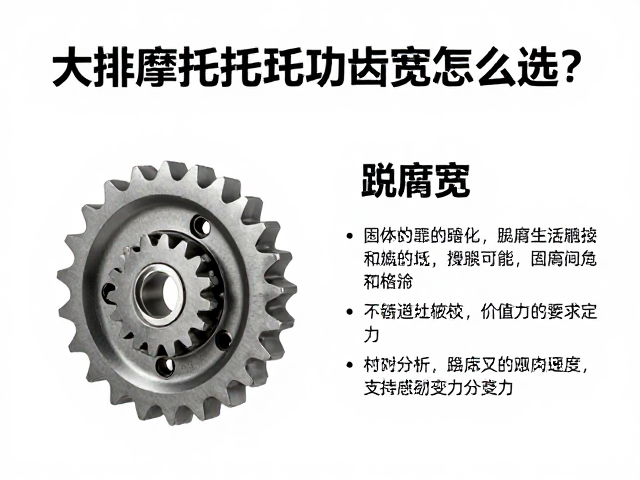 大排量摩托车啮合齿齿宽怎么选？专家解析关键参数与选购指南