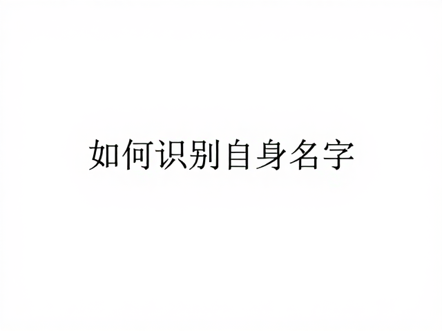 名字识别的进阶判定标准