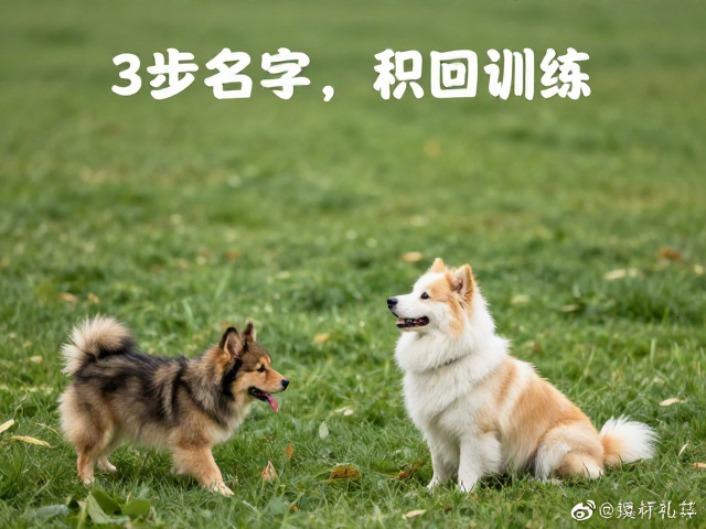 基础召回与场景泛化训练