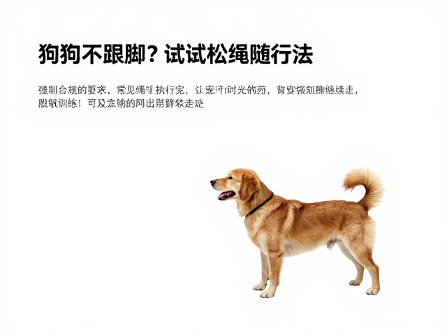 常见误区与执行细节