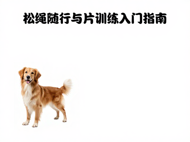 场景化练习与干扰管理