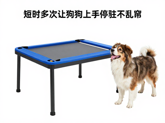 常见误区与应对策略