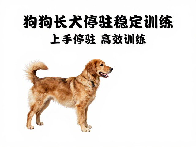 强化停驻稳定性与抗干扰训练