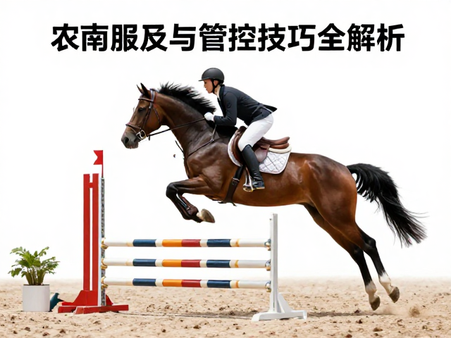 基础服从性在敏捷流程中的构建逻辑