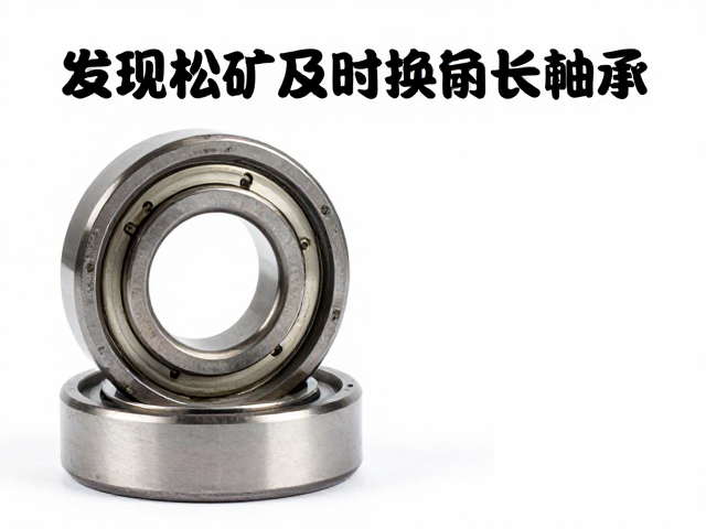 发现松旷及时换轴承!耐磨原液防磨损加剧,延长寿命