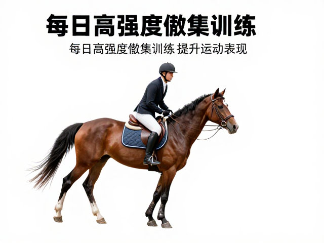 马匹管控技巧,每日高强度敏捷训练提升运动表现