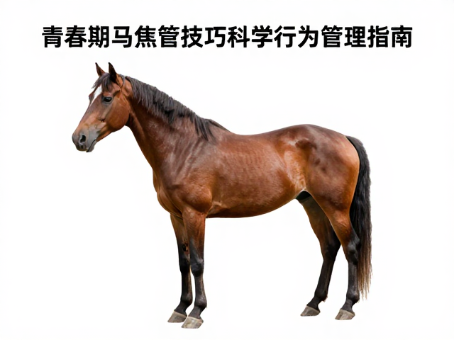 核心指令执行与即时反馈机制