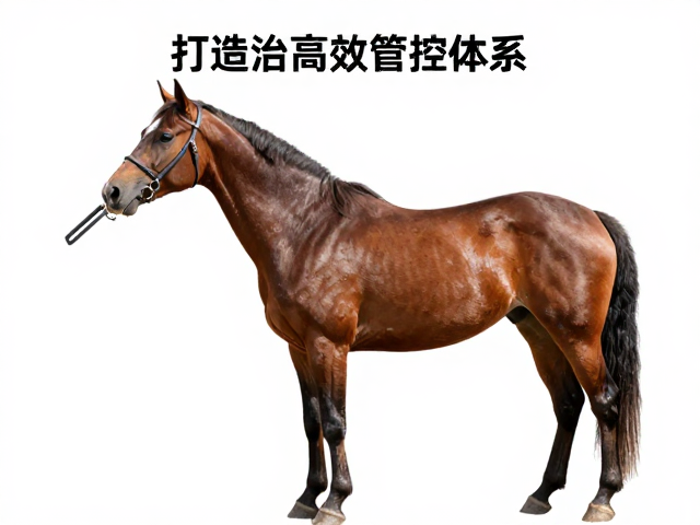 马匹哨音指令训练法,结合体重管理,打造高效管控体系