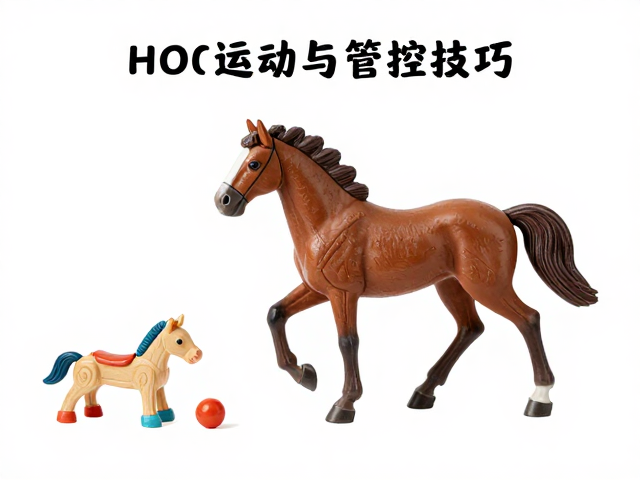 常见玩具类型及其在体重管理中的应用场景
