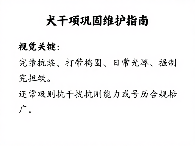 日常巩固与抗干扰能力构建