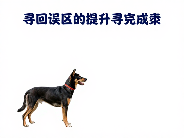 常见误区纠正与长期维护