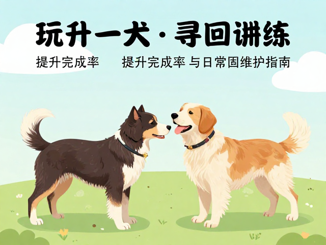 犬只寻回训练,提升完成率与日常巩固维护指南