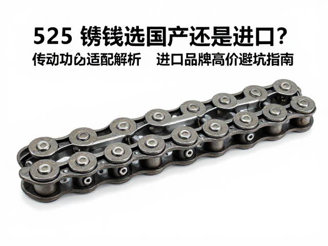 525链条选国产还是进口？传动齿适配解析及进口品牌高价避坑指南