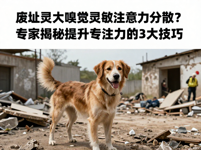 体能管理与心理稳定性