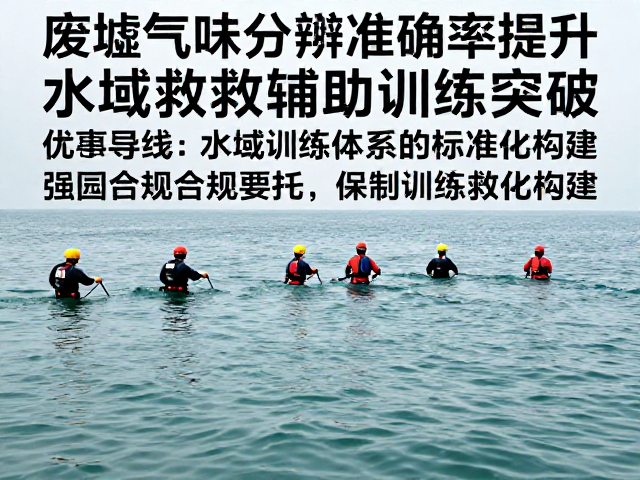 搜救辅助训练体系的标准化构建