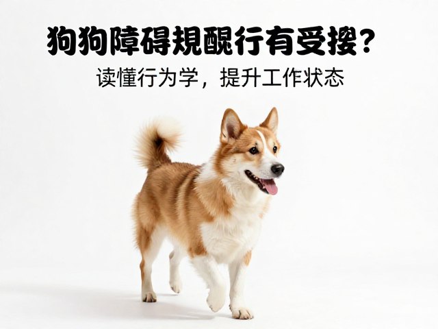 主人情绪管理与从属关系的重构