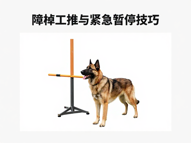 犬只工作风格解析，障碍物规避与紧急暂停技巧