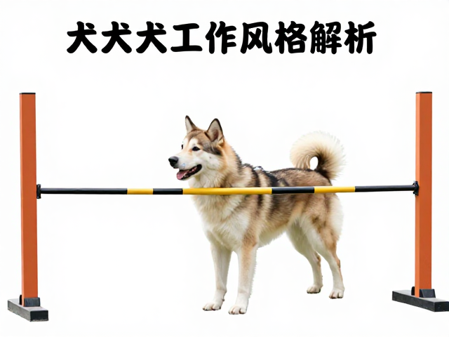 训练场景下的行为逻辑与安全边界