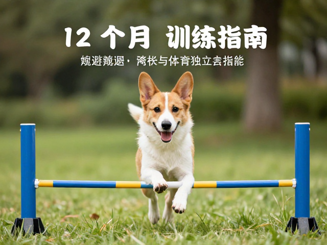 长期习惯的固化与环境适应