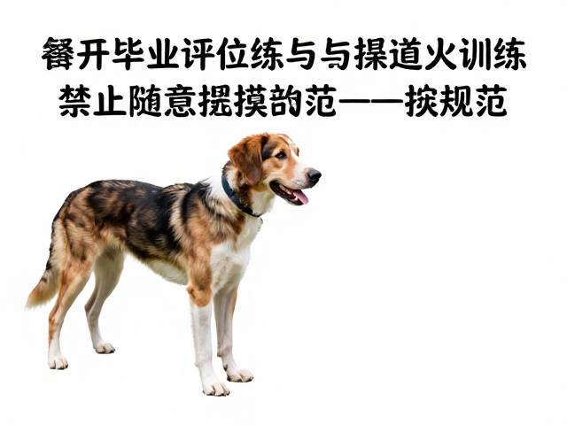 避开障碍物训练中的空间感知与决策逻辑