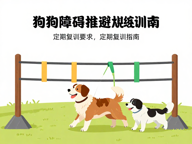 定期复训策略与体能维持