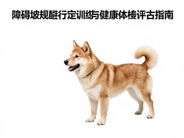 健康体检评估体系与运动功能标准化