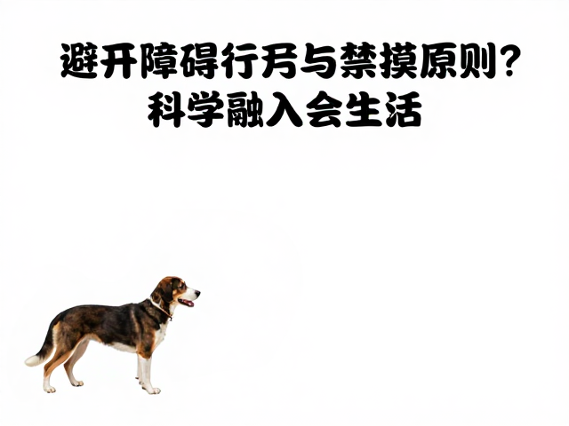 导盲犬家庭接纳度低？避开障碍行走与禁摸原则，科学融入生活