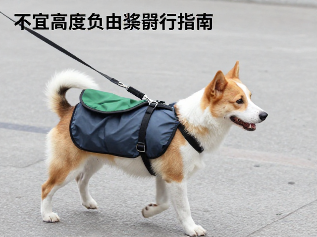 负重行走的负荷控制与时间管理