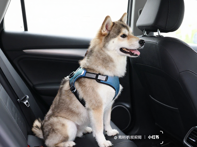 建立上车互动的初始步骤
