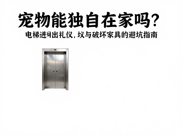 居家环境改造与家具保护的实际策略