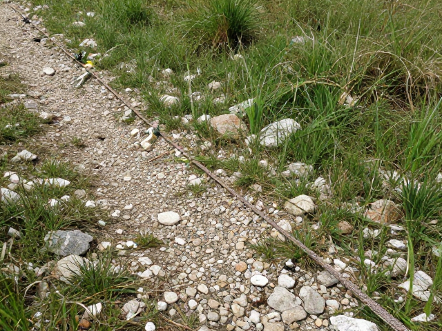 露营必备，长牵引绳应对草丛碎石路，轻松建立营地安全边界