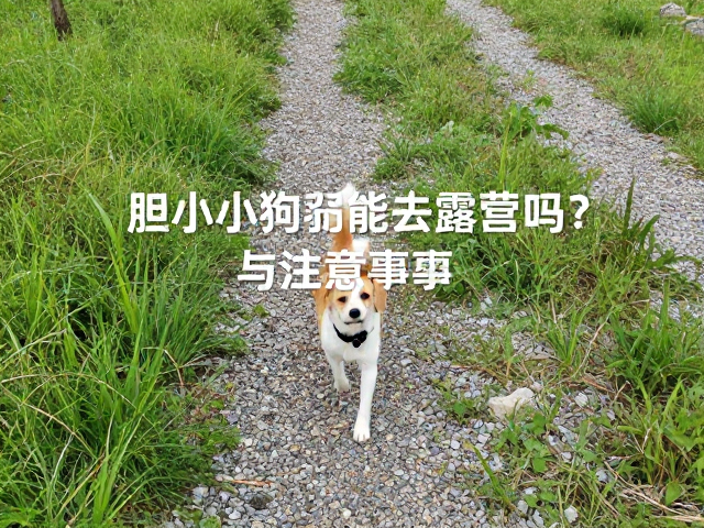 应急处理与突发状况应对