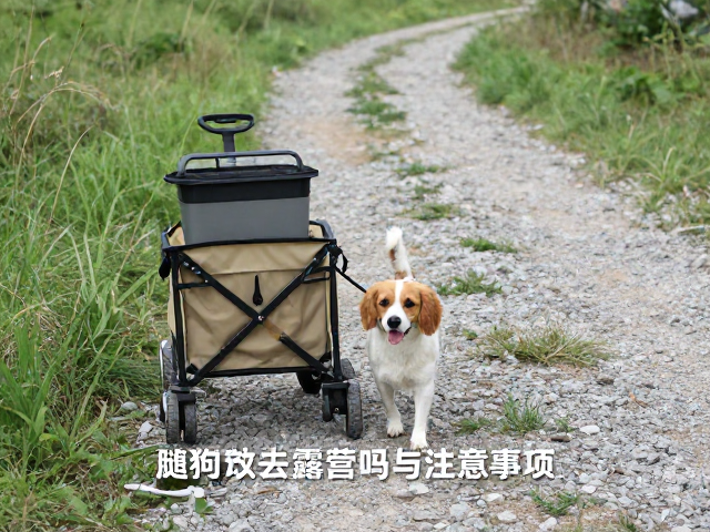 露营装备的适老化与安全感构建