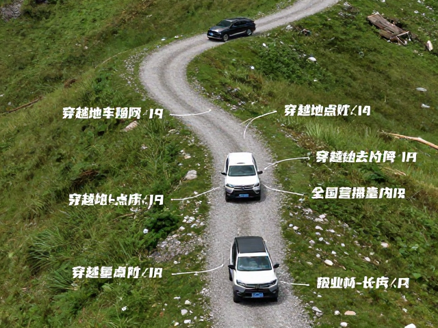 驾驶操作技巧与动力管理