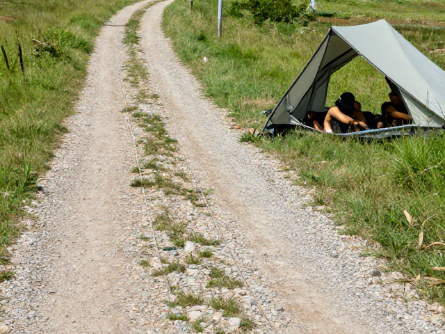 草丛碎石路随行训练，帐篷内休息适应，正向强化建立自信