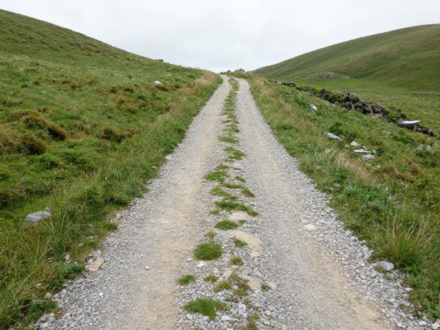草丛碎石路随行指南，掌控距离，完美适应山野环境