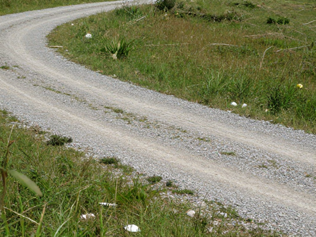动态跟随与风险规避