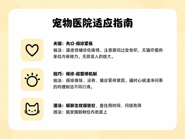 宠物医院环境适应指南，安抚技巧与候诊暂停机制，缓解猫咪紧张