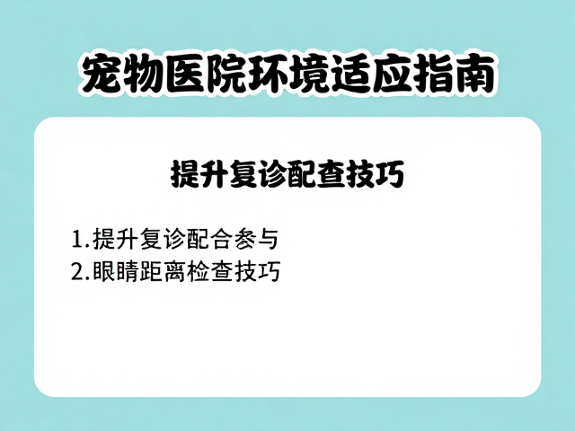宠物医院环境适应指南，提升复诊配合度与眼部近距离检查技巧