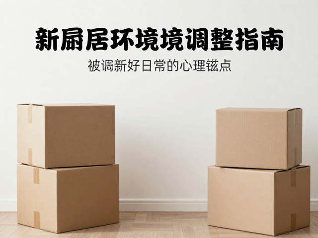建立新的日常仪式与心理锚点